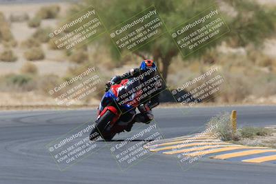 media/May-14-2023-SoCal Trackdays (Sun) [[024eb53b40]]/Turn 5 Tree of Life (1125am)/